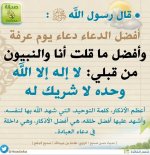 ٢٠٢٥٠٦٠٥_٠٣٥٠٣٢.jpg