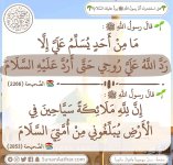 ٢٠٢٥٠٦٠٦_١٩١٩٣٩.jpg