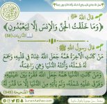 ٢٠٢٥٠٦٠٨_٠٩٢٦١٥.jpg