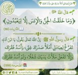 ٢٠٢٥٠٦٠٨_٠٩٢٥٤٧.jpg
