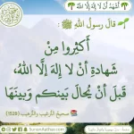 IMG_20250609_193538_086.webp