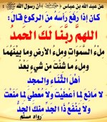 ٢٠٢٥٠٦١٥_١٧١٢١٧.jpg