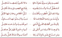 ٢٠٢٥٠٦١٩_١٩١٨٠٤.jpg