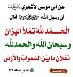 ٢٠٢٥٠٦١٩_١٢٥٥١٢.jpg