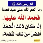 ٢٠٢٥٠٦١٩_١٢٥٤٥٢.jpg
