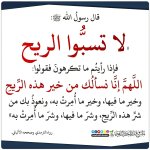٢٠٢٥٠٦٢٩_١٨٣٣٠٣.jpg