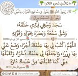 ٢٠٢٥٠٧٠١_١٦٢٩٤٣.jpg