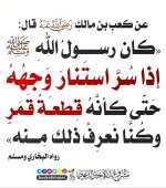 ٢٠٢٥٠٧٠٣_٢١٣٤٢٢.jpg