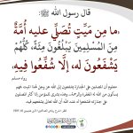 ٢٠٢٥٠٧٠٥_١٠٥٤١٥.jpg