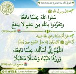 ٢٠٢٥٠٧٠٦_٢١٥١٠٨.jpg