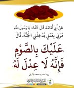 ٢٠٢٥٠٧١٤_٠٨٥٥٢٨.jpg