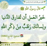 ٢٠٢٥٠٧١٥_١٩٥٩٤٩.jpg