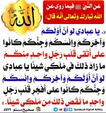 ٢٠٢٥٠٧٢١_١٧٢٣٢٤.jpg