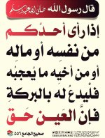٢٠٢٥٠٧٢٧_١٠١١١٩.jpg