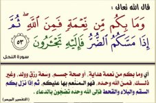 ٢٠٢٥٠٨٠٩_١٥٣٢٢٠.jpg