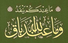 ٢٠٢٥٠٨١٥_١٢٠٣٢٩.jpg