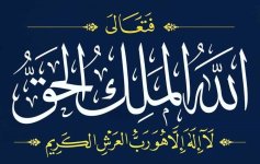 ٢٠٢٥٠٨٢٤_١٨١٥٠٠.jpg