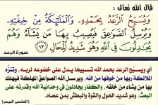 ٢٠٢٥٠٨٢٧_٢٠٤٥٠٦.jpg