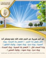 IMG_1882.JPG