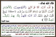 p-salaf047.jpg