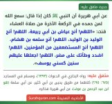 photo_٢٠٢٦-٠٧-٢٤_١٣-٢1٥-٥٠.jpg