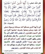 p-alzynaamno073.jpg
