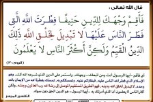 p-islamweman069.jpg p-islamweman069.jpg