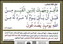 p-islamweman070.jpg p-islamweman070.jpg