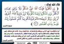 p-aqeda025.jpg