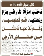 photo_٢٠٢٦-١٠-٠٥_٠٩-١٨-٥٧.jpg photo_٢٠٢٦-١٠-٠٥_٠٩-١٨-٥٧.jpg