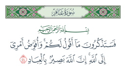 verse-44-surah-40.png