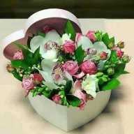 محمد شماسي شماسي