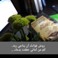 أنوار الدعوة